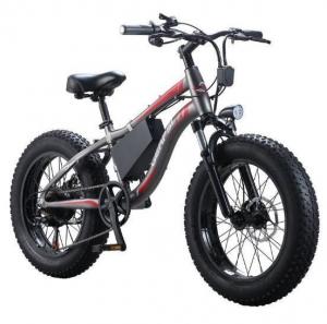Wholesale Aluminum 20 Inch Fat Tire Electric Bike 750 Watt from china suppliers