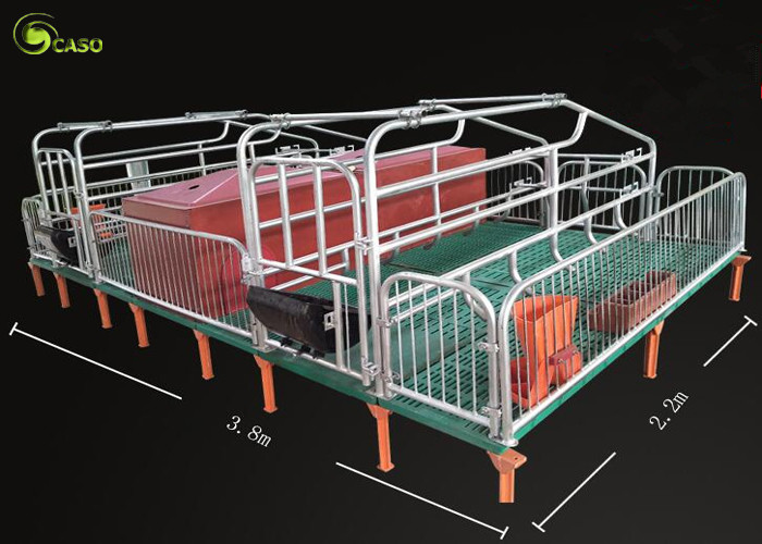 Wholesale Pig Breeding Equipment Galvanized Pig Limit Pen Elevated Pig Farrowing Crate from china suppliers