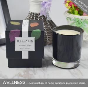 NO Toxins Natural Scented Candle Water - Soluble With No Petro Soot Emissions