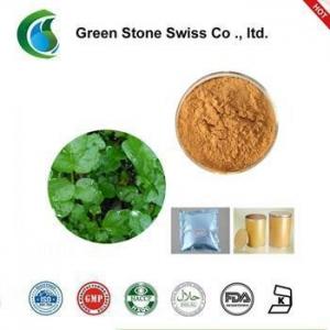 Wholesale Watercress extract from china suppliers