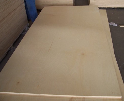 China die board plywood/ plywood die board /die board plywood/18mm plywood on sale