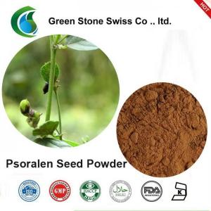 Wholesale 5.41% Ash Psoralen Seed Plant Herbal Extract Powder from china suppliers