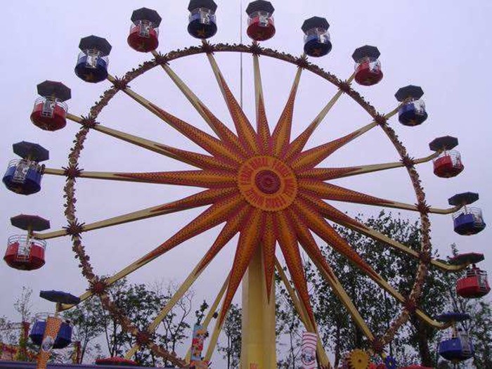Flower Cabins Design Amusement Park Ferris Wheel Driven By Electric Control System