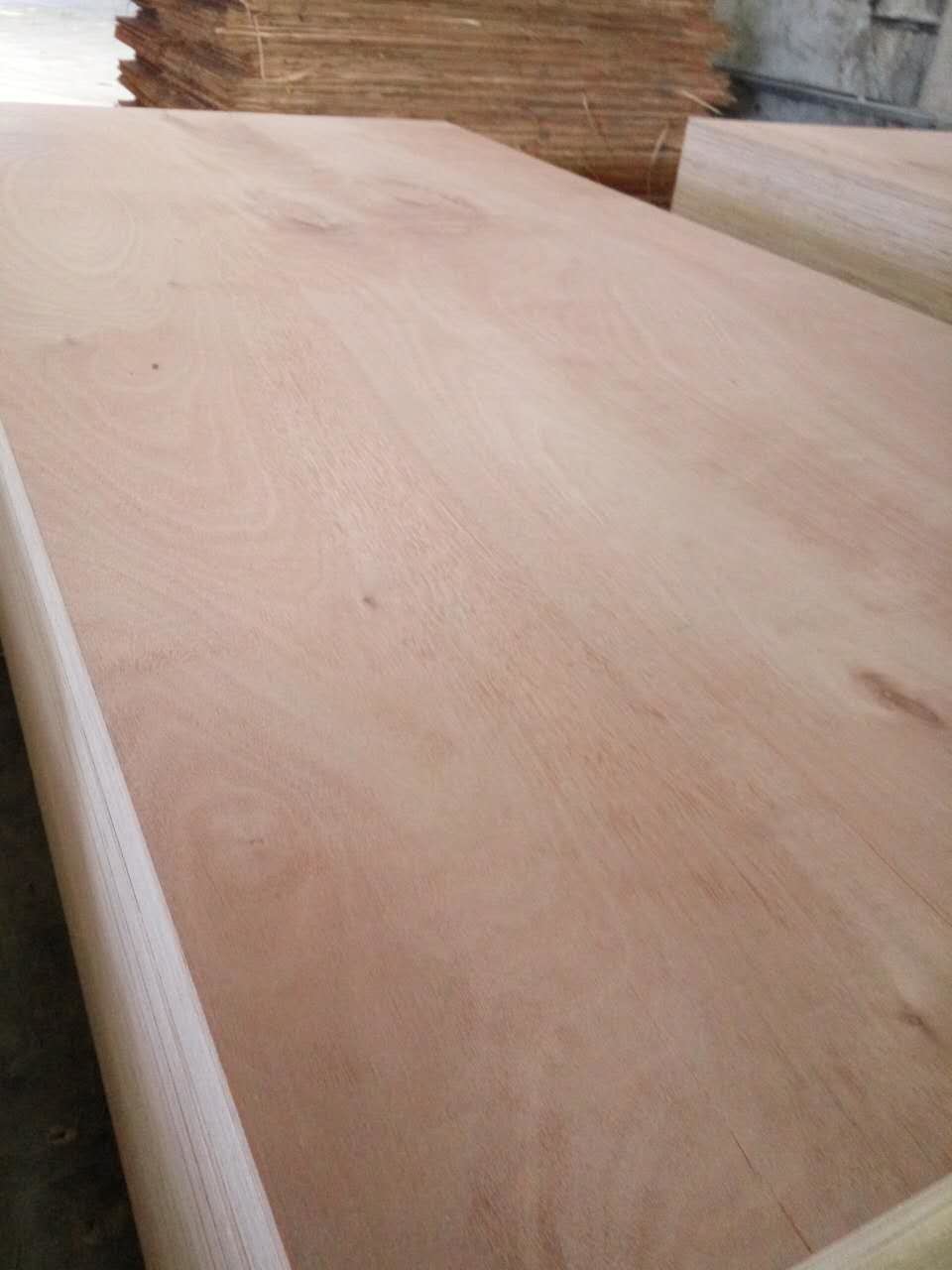 China 1220x2440x18mm Okoume Plywood Poplar Core for Construction on sale