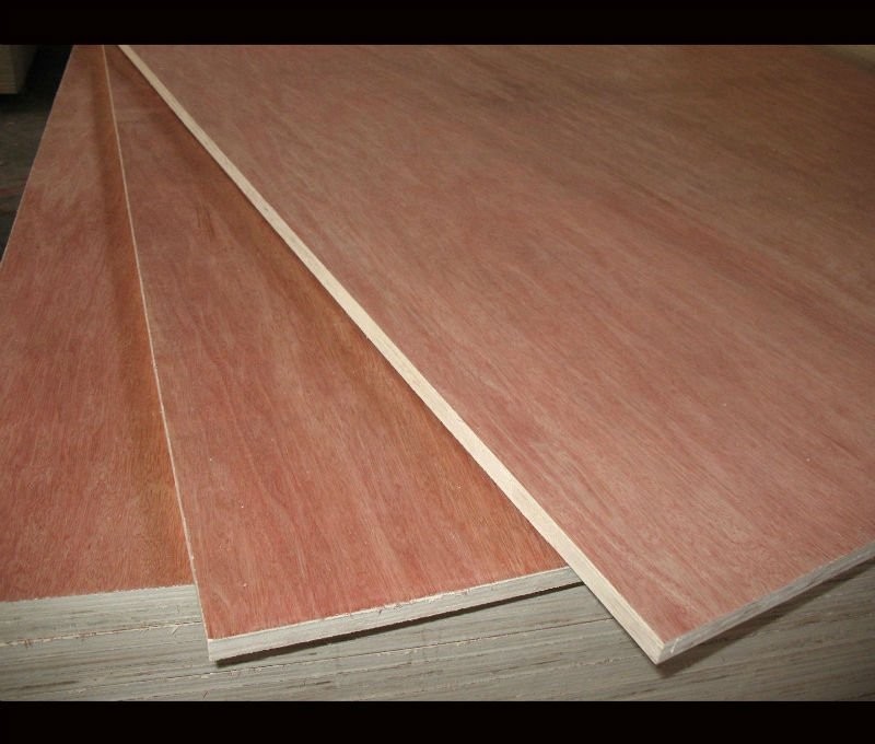 Wholesale Poplar Core Melamine Covered Plywood 2 Time Hot Press Technics Quick Delivery from china suppliers