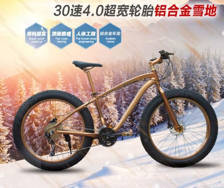 Wholesale Load 150kg 30 Speed 26 Inch Wheel Fat Tire Sand Bike from china suppliers