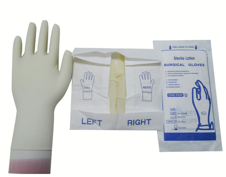 Wholesale Latex Free Disposable PVC Gloves , Anti Puncture Surgical Hand Gloves from china suppliers