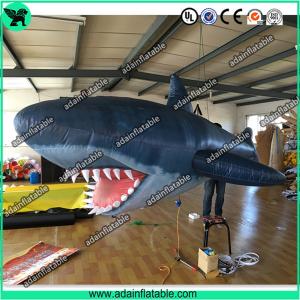 Wholesale 3m Inflatable Shark with Blower for Indoor Event Stage Decoration,Inflatable Shark Model from china suppliers