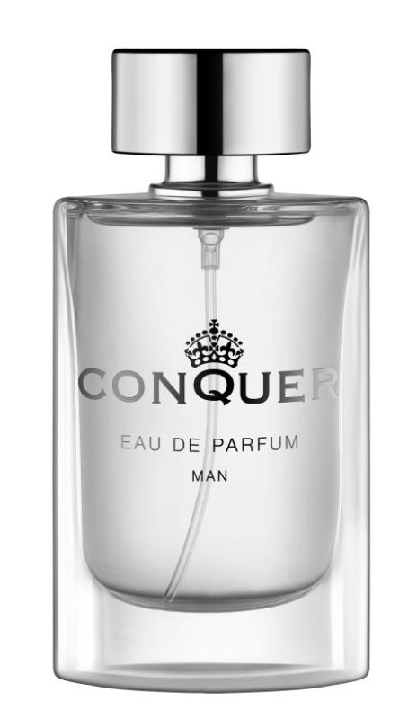 Wholesale New Design Popular Male Perfumes 50ml , Conquer Long Lasting Eau De Toilette For Men from china suppliers