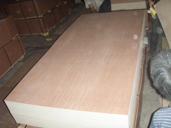 Quality bintangor face/back plywood for sale