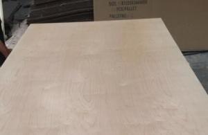 Wholesale White Birch UV Coated Plywood Poplar / Eucalyptus Core Type 2.5 - 20mm Thickness from china suppliers