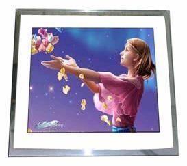 Buy cheap Digital Photo Frame(AFT-PF011) from wholesalers