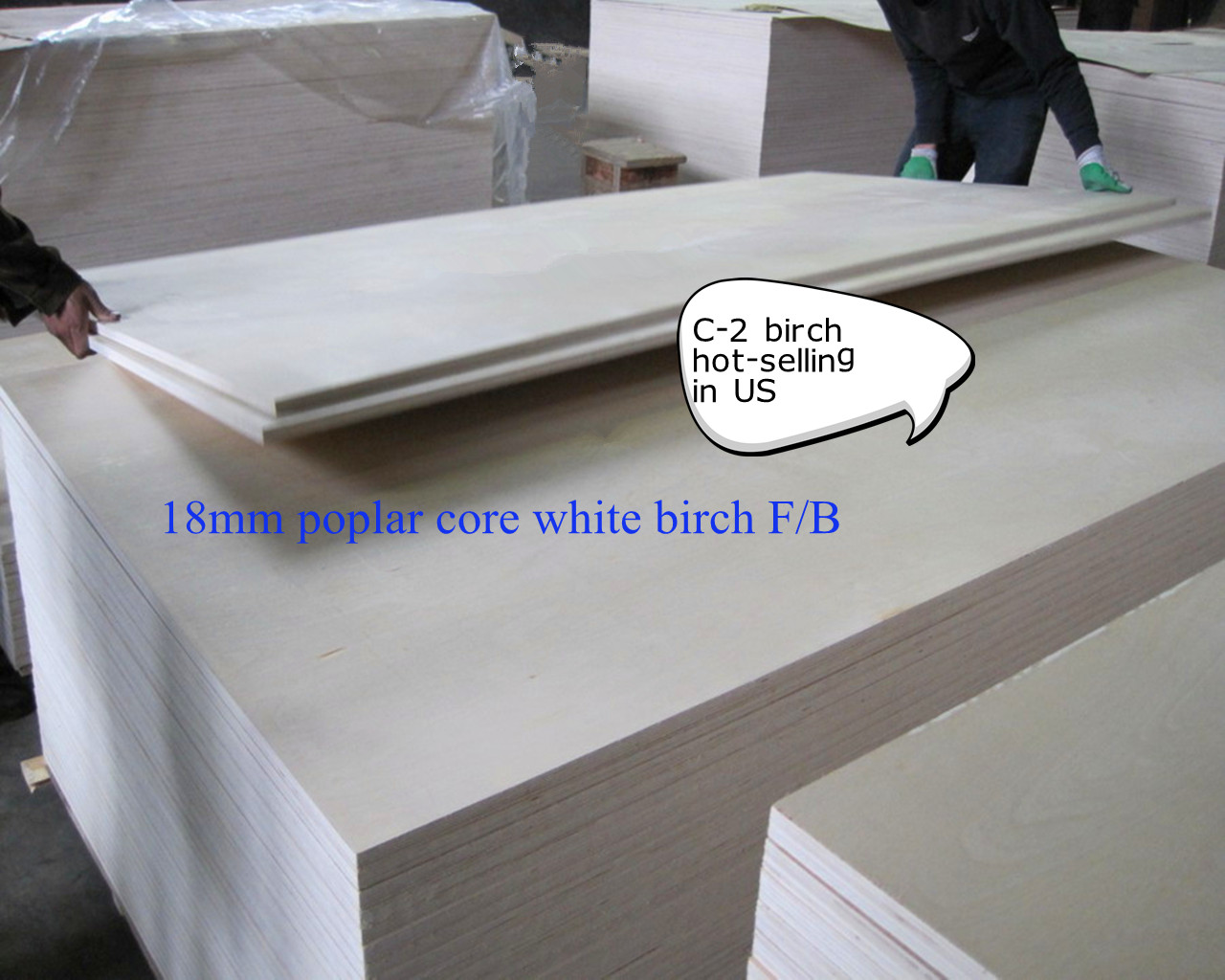 white birch plywood