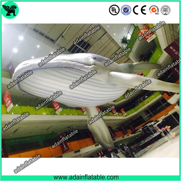 Wholesale Giant Inflatable Whale, Event Inflatable Whale,Inflatable Whale Replica from china suppliers