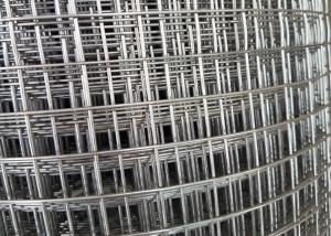 Wholesale Breeding Net / Plastered 1x30m Ss Welded Wire Mesh from china suppliers