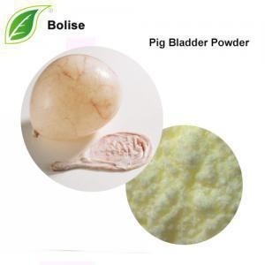 Wholesale Light Yellow Pig Bladder Powder Extract from china suppliers