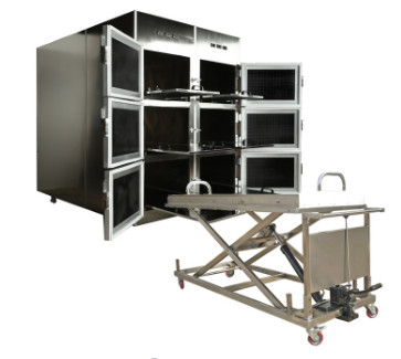 Wholesale ROUNDFIN morgue six body mortuary refrigerator/6 corpse morgue freezer for sale from china suppliers