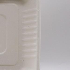 Biodegradable disposable take out food boxes container sugarcane bagasse