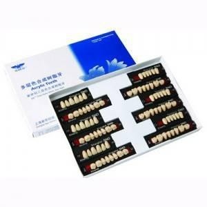 Quality Dental Disposable Multi Layer Synthetic Resin Teeth (Two/Three Layer) for sale
