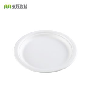 Compostable disposable bagasse food container biodegradable sugarcane tableware