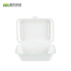 Sugarcane pulp paper packaging burger box container