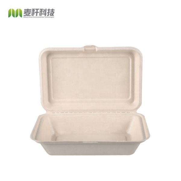9 X 6" Natural Fiber Clamshell Take Out Boxes , Bagasse Sugarcane Pulp Molding
