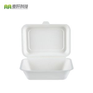 Biodegradable sugarcane bagasse disposable compostable clamshell take away food