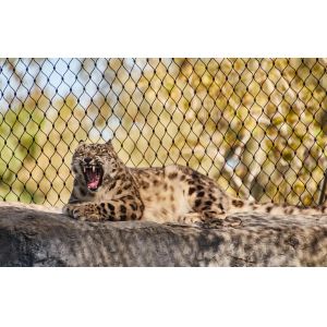 China Flexible Stainless Steel Stainless Steel Ferrule Rope Mesh Suspension Bridge Railing Mesh on sale