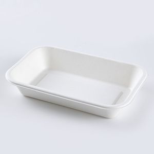 Sugarcane Pulp Biodegradable Disposable Tray Rectangular Dining Box