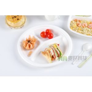 Sugarcane Bagasse Dishes Compostable Biodegradable Disposable Plate Dinnerware