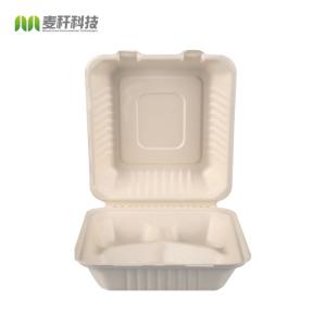 Biodegradable disposable take out food boxes container sugarcane bagasse