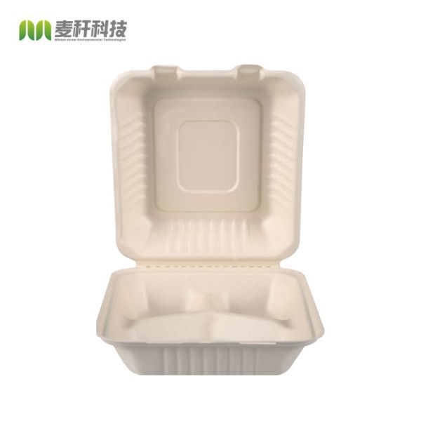 Biodegradable disposable take out food boxes container sugarcane bagasse