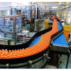 6000bph Pineapple Juice Processing Machine Beer Mango Juice Making Machine