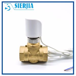 Dn15 Dn20 Dn25 Motorized Brass Water Valve , Two Way Electric Water Flow Control