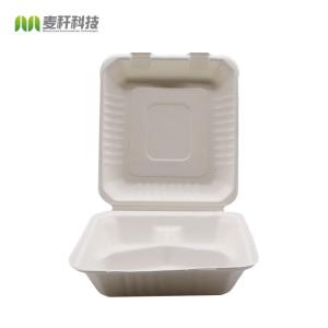 Biodegradable disposable take out food boxes container sugarcane bagasse