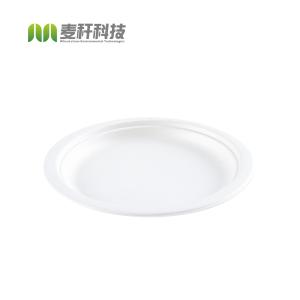 Sugarcane Bagasse Dishes Compostable Biodegradable Disposable Plate Dinnerware