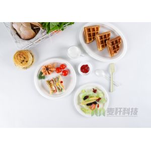 Sugarcane Bagasse Dishes Compostable Biodegradable Disposable Plate Dinnerware