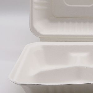 Biodegradable disposable take out food boxes container sugarcane bagasse