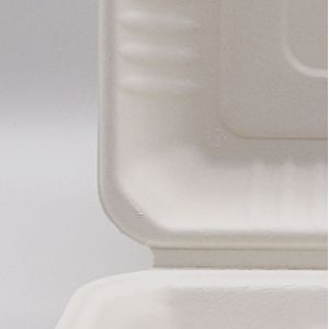 Biodegradable disposable take out food boxes container sugarcane bagasse