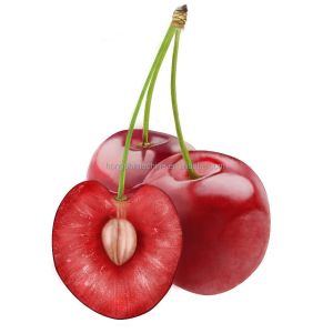 Stainless Steel Cherry Lychee Core Remove Machine , Fruit Stone Cherry Kernel