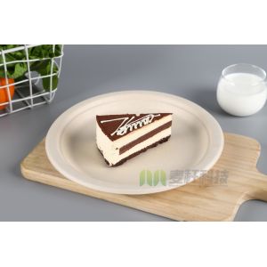 Sugarcane Bagasse Dishes Compostable Biodegradable Disposable Plate Dinnerware