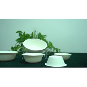 Sugarcane Bagasse Dishes Compostable Biodegradable Disposable Plate Dinnerware