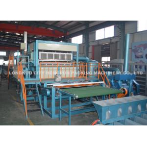 Automatic Rotary Pulp Egg Tray Machine / Plup Box Making Machinery For Fruit