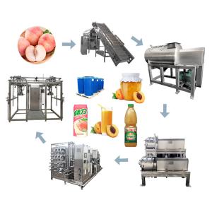SS 304 380V 220V Fruit Juice 5 T/Day Peach Processing Plant