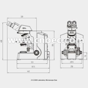 Infinity Binocular Compound Microscope With Infinity Plan Objective A12.0908