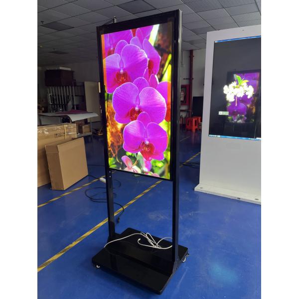 Quality Android OS IPS Screen Double Sided Digital Signage with WiFi and Ethernet Connectivity for sale