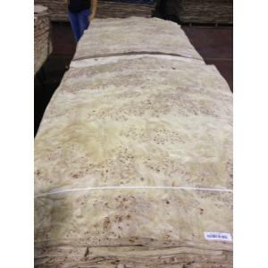Mappa/Poplar Burl Veneer