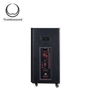 12 Inch Trolley Portable Speaker With Wheels Wifi Loudspeaker