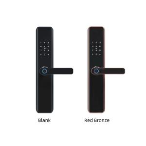 Anti Corrosion Advanced Intelligent Door Lock 6V With SDK Network