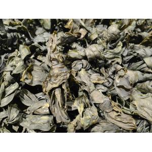 1 Year Shelf Life Kelp Kombu Sprouts Sea Vegetable Green Color Umami Taste